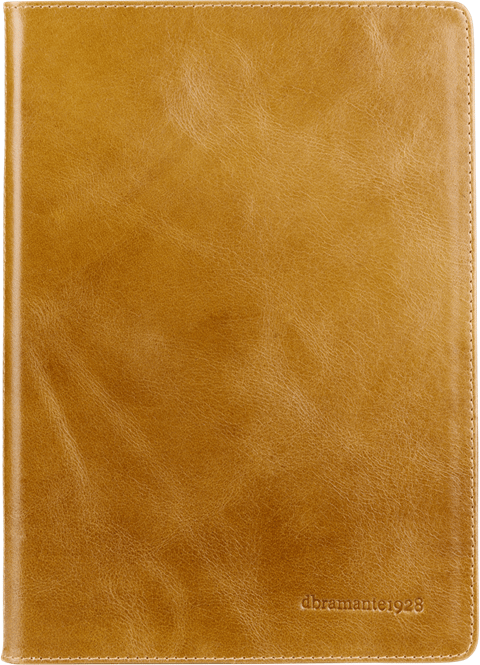 dbramante1928 Folio Copenhagen 2 (iPad 9,7)