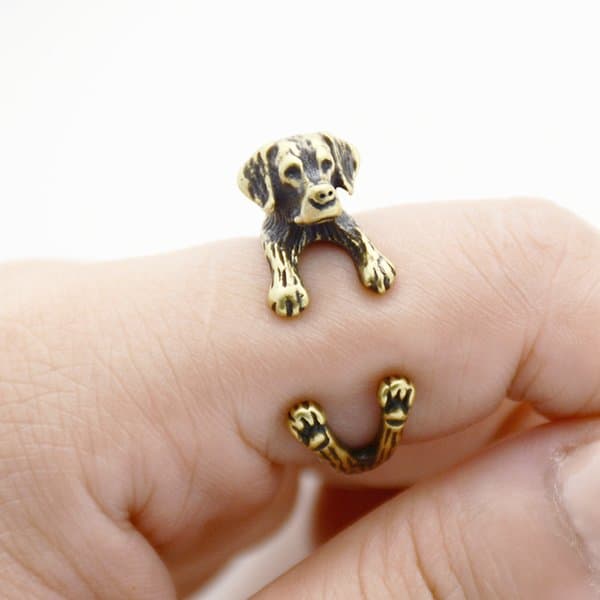 Ring - Golden Retriever