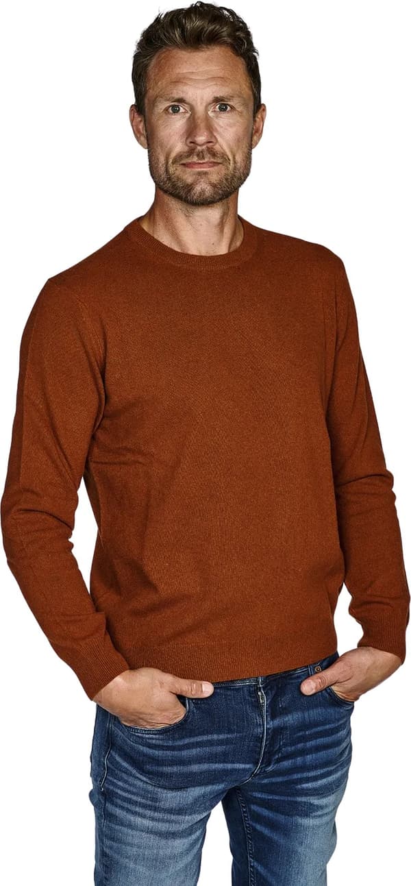 Crew Neck - 2021.01 - kashmir