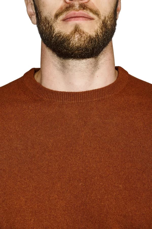 Crew Neck - 2021.01 - kashmir