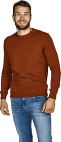 Miniatyrbilde 2 av 5: Crew Neck - 2021.01 - kashmir