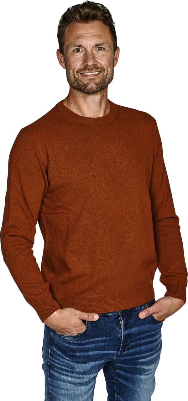 Crew Neck - 2021.01 - kashmir