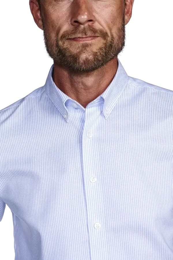 BUTTON DOWN - OXFORT STRIBE - BLUE