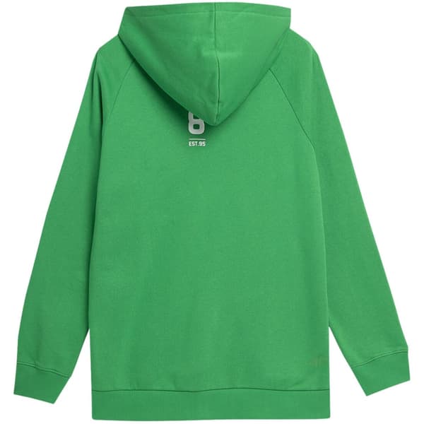 Men's sweatshirt 4F green 4FSS23TSWSM236 41S