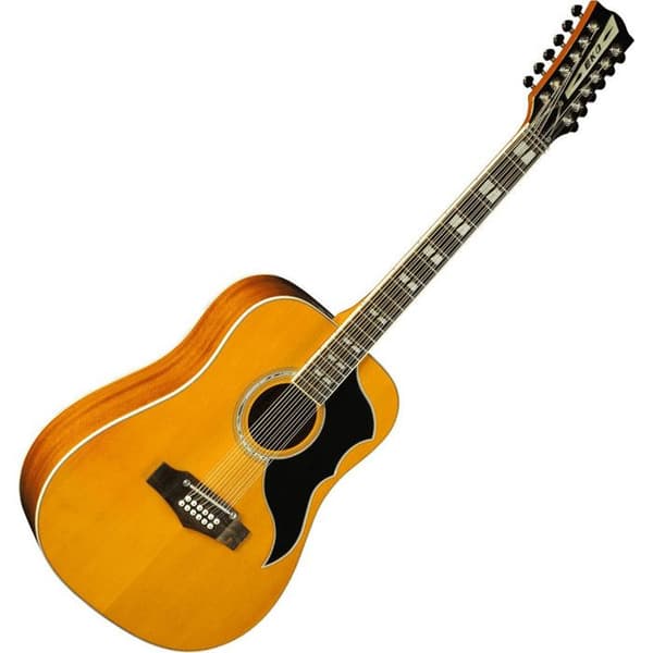 EKO GEA RANGERVR12-EQ-NAT - Ranger VR XII - 12-strängad elektrodreadnought