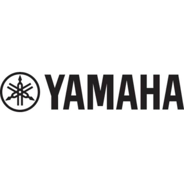 Sätta elgitarr - YAMAHA - ERG121GPIIHII - Svart - Med fodral - Med förstärkare