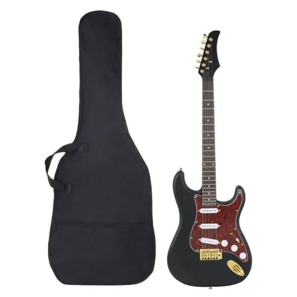 Elgitarr för nybörjare med väska svart&guld 4/4 39"