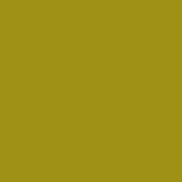 Färgtvätt - PéBéo - Setacolor opak - Olive - 45 ml - Blandad