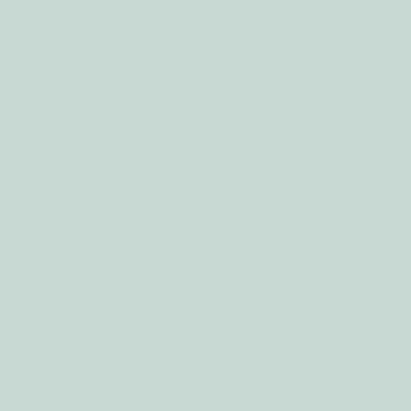 Akrylfärg - PEBEO - Deco - Blank - 45 ml - Pastellgrön
