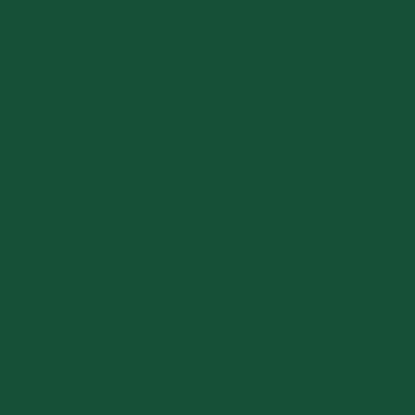 Pébéo porslinsfärg 150 Brilliant Olivine N°27