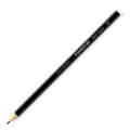 Miniatyrbillede 2 af 2: Farveblyanter Staedtler Wopex Sort (12 enheder)