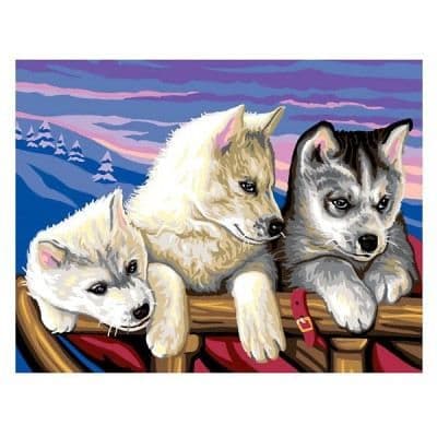 Målning efter nummer - Insiders: In the Far North