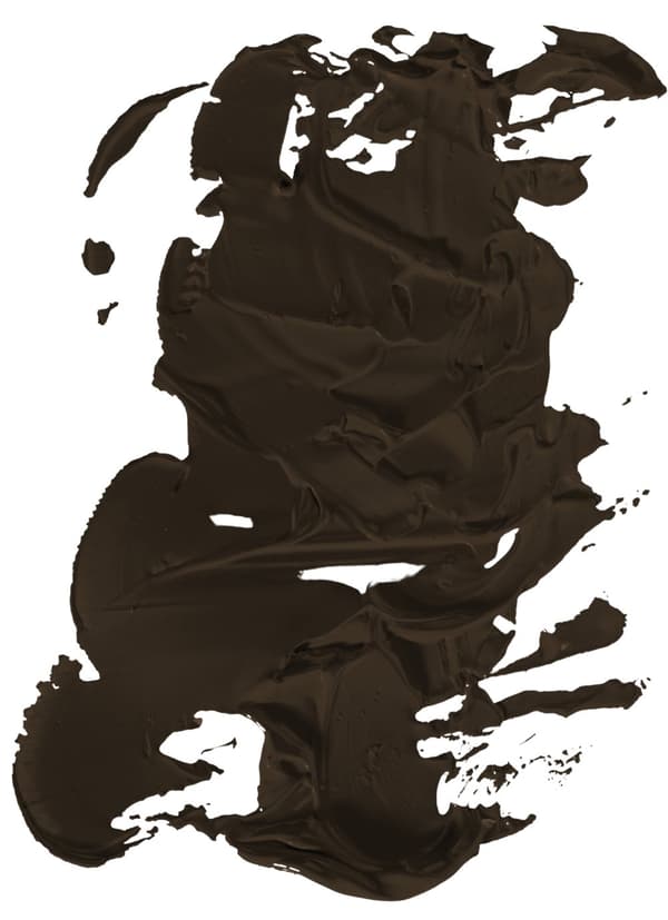 AKRYLMALING Value Series brun Phoenix 100ml 690 BROWN VAN DYCK