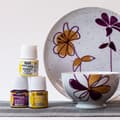 Miniatyrbillede 2 af 5: Sæt med maling til porcelæn, glas, til brænding, PEBEO 12x20ml, dekorativt
