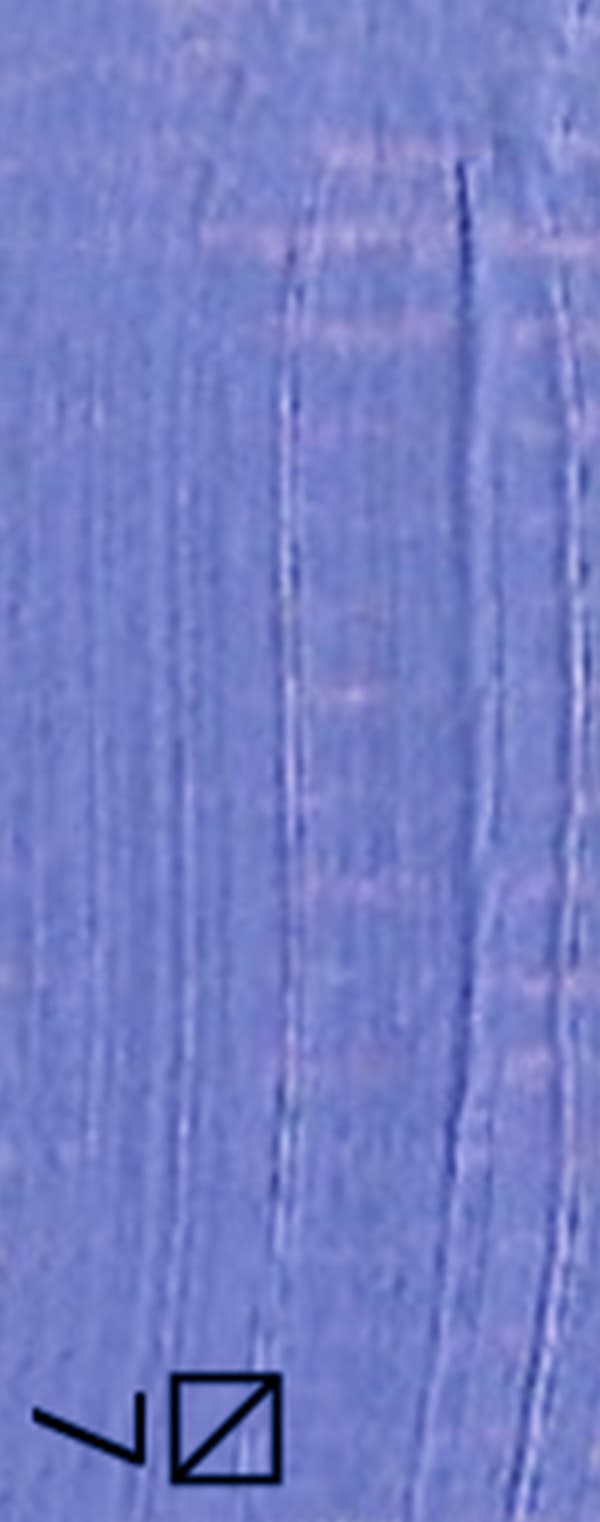 Oljefärg OILS FOR ART konstnärlig lavendel Renaissance 60ml 65 PERIWINKLE