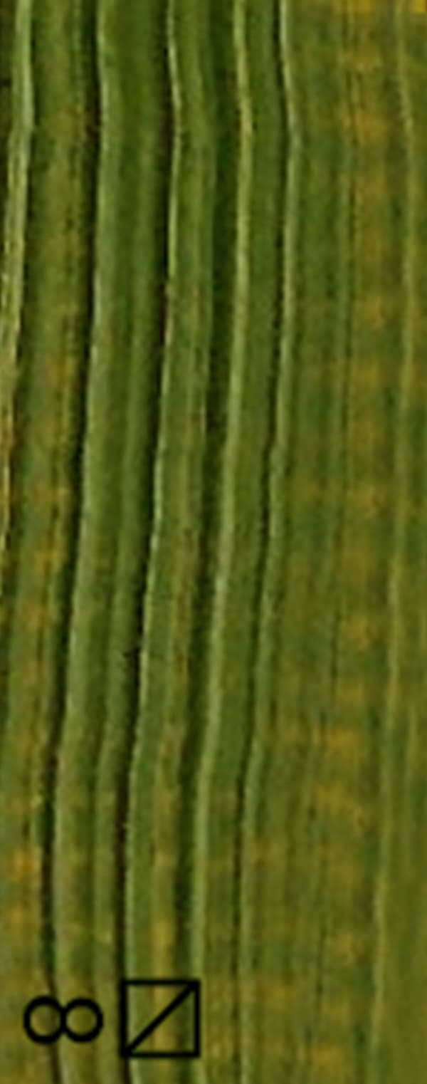 Oliemaling OLIER TIL KUNST kunstnerisk Renesans 60ml 71 JUICY GREEN