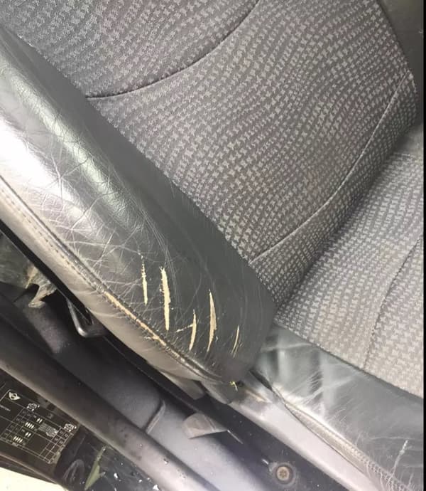Leather Paint Dabber for AUDI PEARL SILVER. Repair scratches, scuffs & marks.