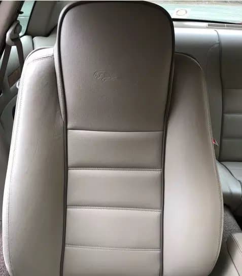 BENTLEY MAGNOLIA Leather Touch up Car Seat Repair Paint