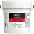 Miniatyrbild 1 av 3: LIQUITEX PROFESSIONAL SHINE GEL ADDITIVE POT...