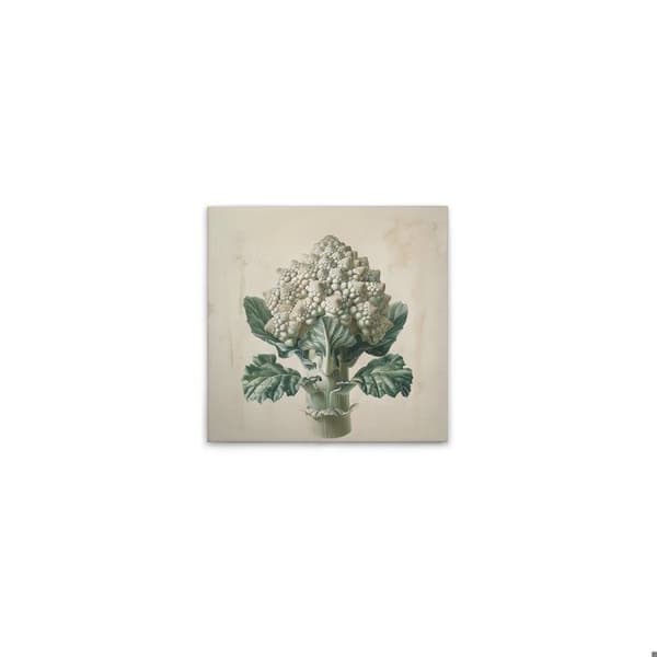 A.S. Création Tavel på duk med motiv kök Romanesco - Väggtavla krämbeige - 40 x 40 cm - DD132956