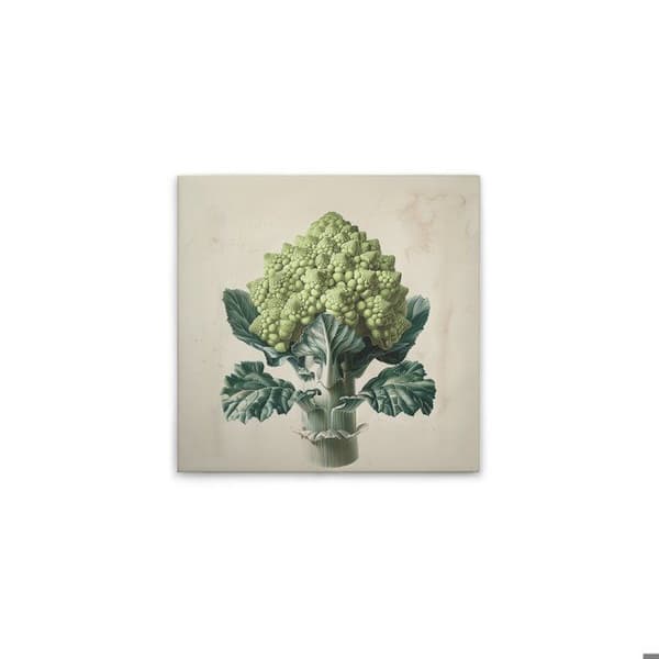 A.S. Création Tavla på duk mönster kök Romanesco - Väggtavla kräm beige - 50 x 50 cm - DD132953