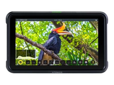 Atomos Shinobi - Digital AV-opptaker: - 5.2" - 1920 x 1080 - 4K UHD (2160p)