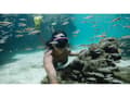 Miniatyrbilde 3 av 5: GoPro - Undervanns-hus for handlingskamera - robust - for HERO8 Black