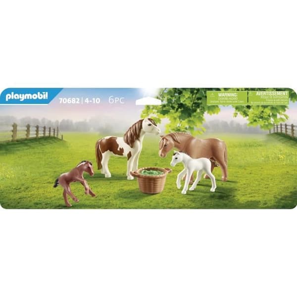 Country Poneys med Föl