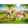 Miniatyrbild 2 av 4: Country Poneys med Föl