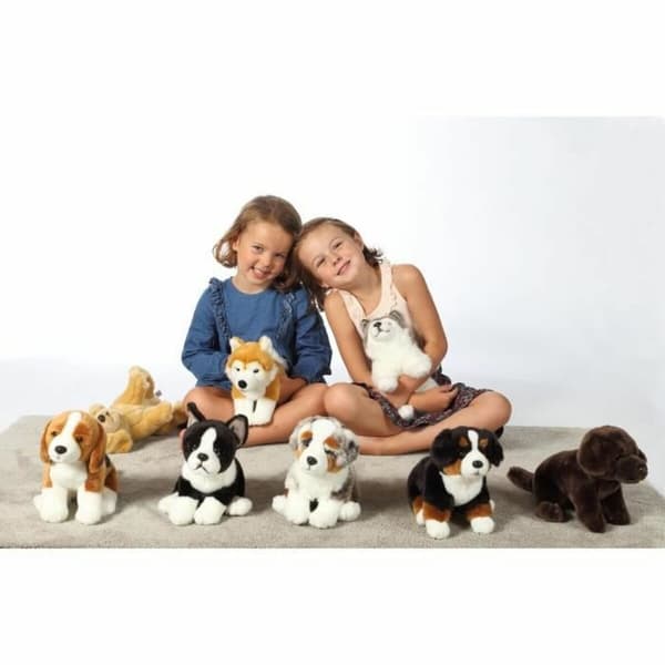 Bamse Gipsy Hund