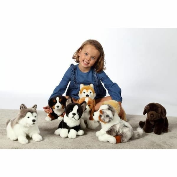 Bamse Gipsy Hund