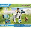 Miniatyrbild 3 av 5: Country Poney Lewitzer att samla på