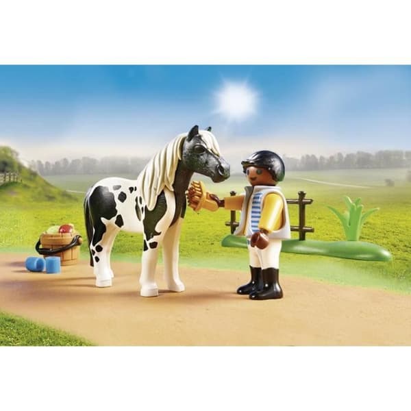 Country Poney Lewitzer att samla på