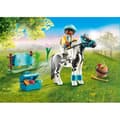 Miniatyrbild 2 av 5: Country Poney Lewitzer att samla på