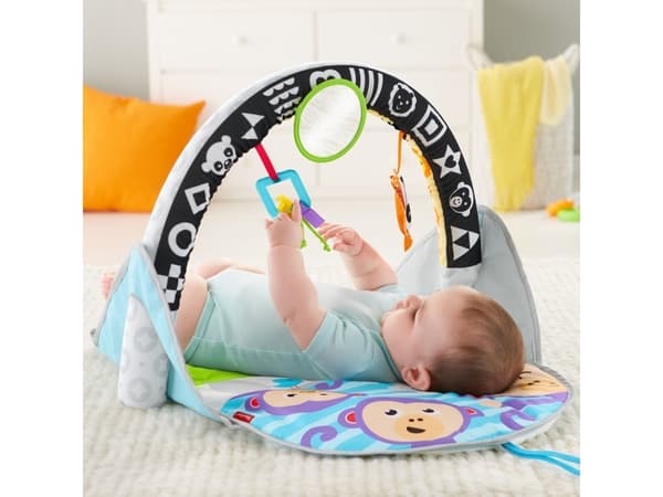 Fisher-Price FXC14, Multifärg