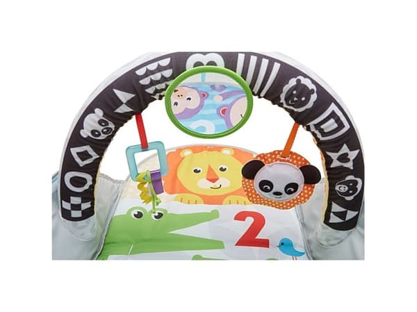 Fisher-Price FXC14, Multifärg