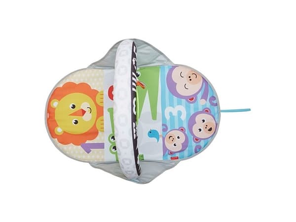 Fisher-Price FXC14, Multifärg