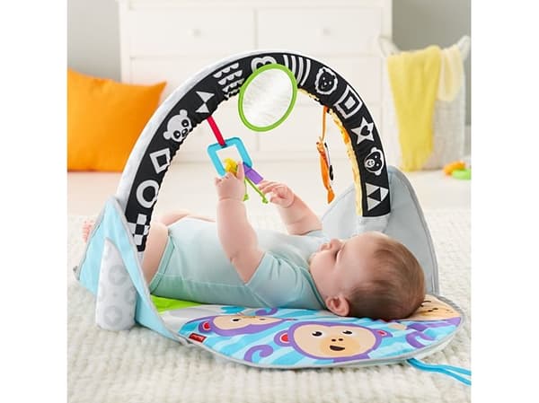 Fisher-Price FXC14, Multifärg