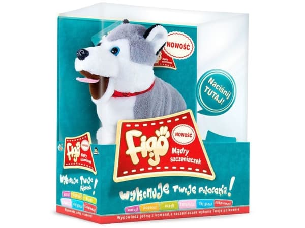 Figo the clever Latin dog responds to voice 62603