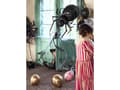Miniatyrbilde 5 av 5: PartyDeco PH60-010, Dekorasjon, Sort, Monokromatisk, Halloween, Universell, Alle kjønn