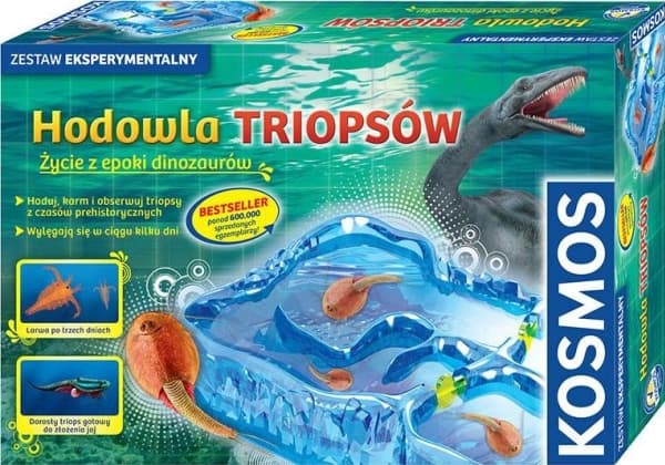Kreativ uppsättning Höjning av triops