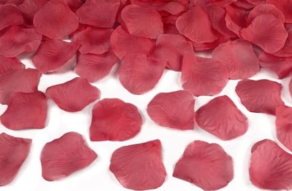 Party Deco Confetti ampumaputki, ruusun terälehdet, viininpunainen, 80 cm yleismaailmallinen