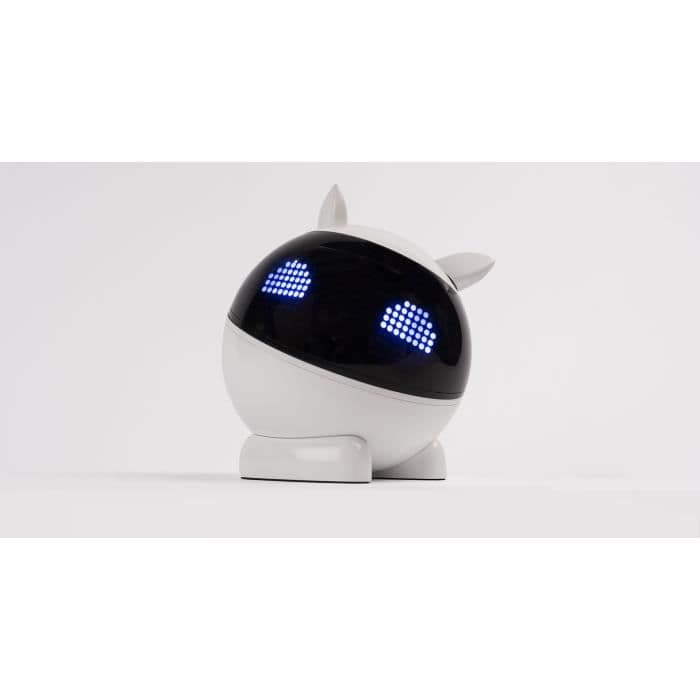 WINKY Sfærisk robot - Hjælp med at undervise programmering og robotik til børn fra 5 til 12 år - Made in France