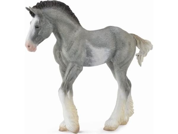 CLYDESDALE MUSTA SABINO ROAN VARSA (M)