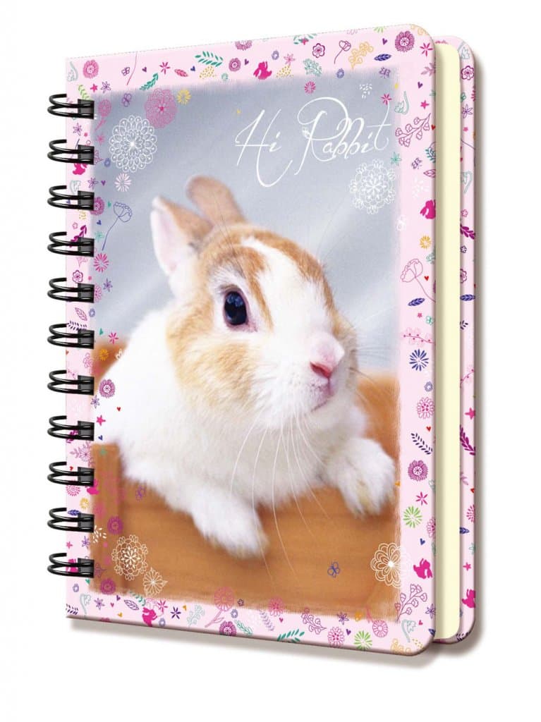 Leksaker Suntoys Notebook Anteckningsbok Kanin 15x11cm