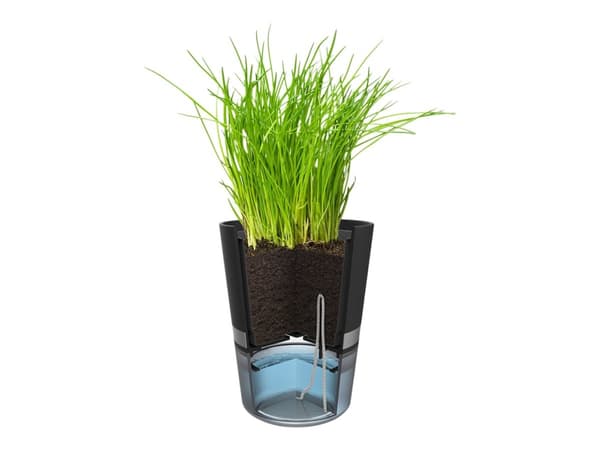 GEFU BOTANICO - Smart plant pot - 14.2 x 18.5 cm