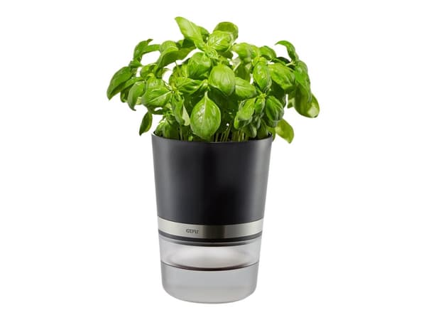 GEFU BOTANICO - Smart plant pot - 14.2 x 18.5 cm