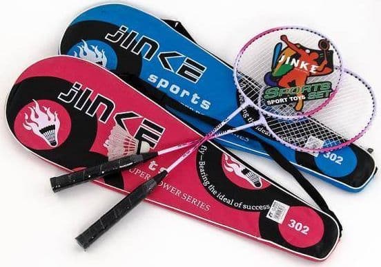 Adar Badminton in a cover 493063 ADAR price for 1 pc