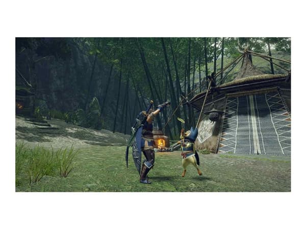 Nintendo 1006110 tv-spel Standard Nederländska, Engelska, Spanska, Franska, Japanska, Portugisiska, Ryska Nintendo Switch