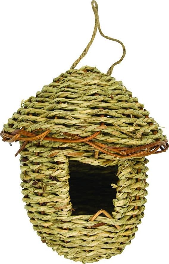 Panama Pet tang reir 14 x 16 cm
